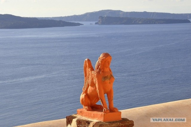 Любовь с первого взгляда