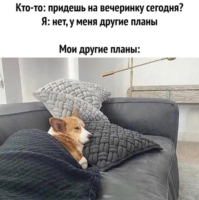 Картинки и мемы для настроения - 009