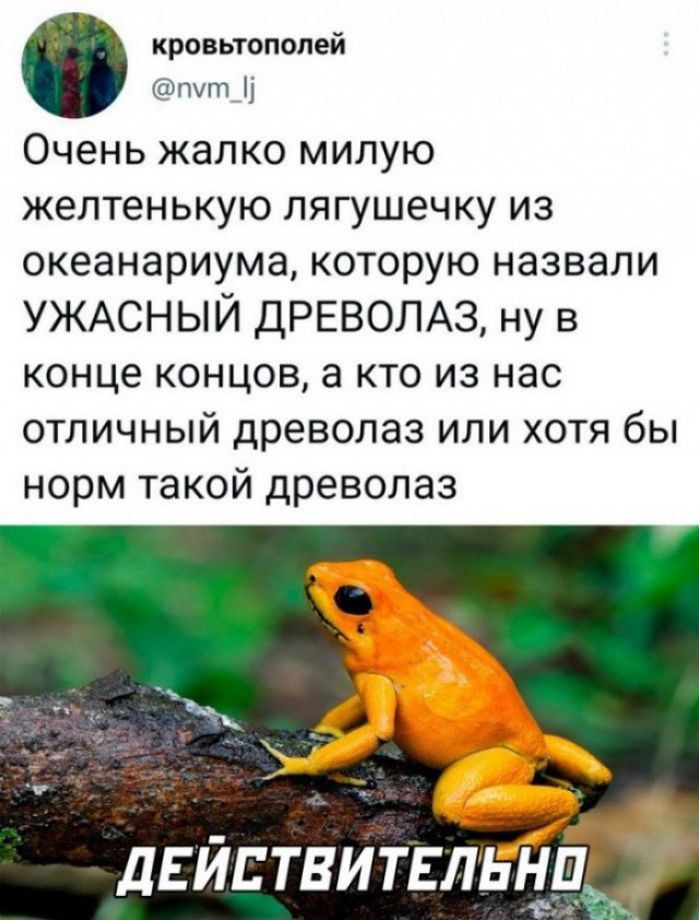 Скриншоты и комментарии из социальных сетей 16.09.22