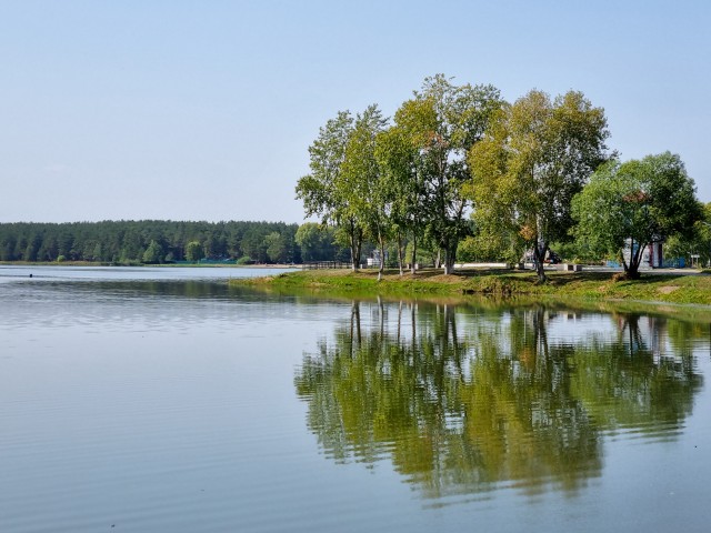 Фото с телефона