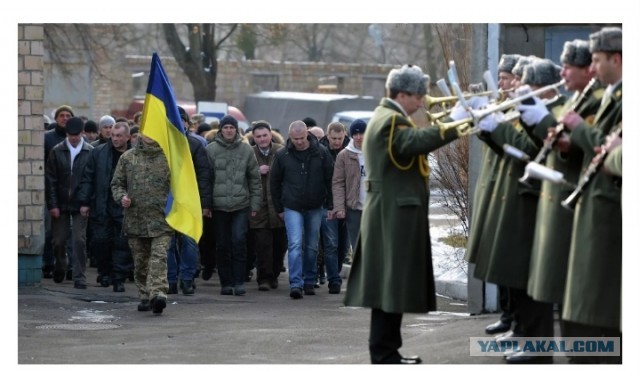 На Украине начали мобилизовывать в основном только русскоязычных