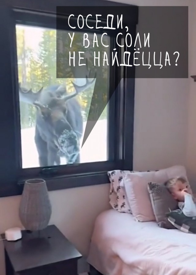 Добрый вечер