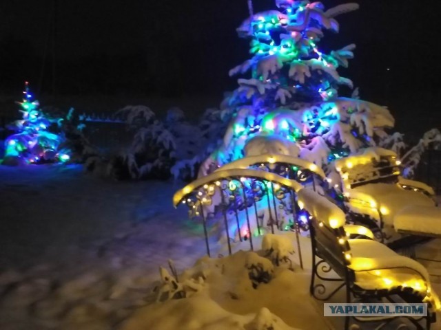 Выкладывайте свои елки!