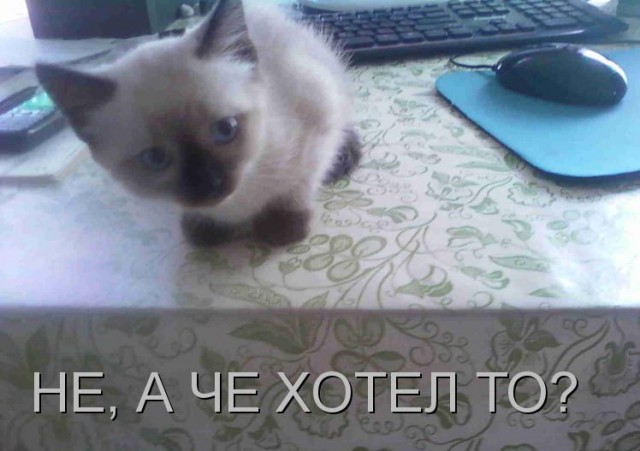 Приколы (баяны)