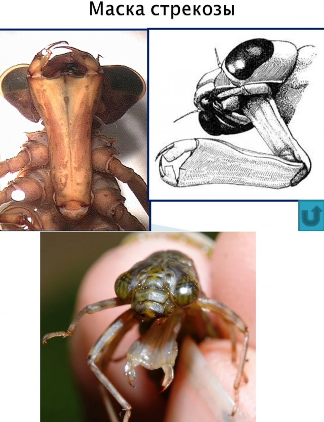 15 фото, раскрывающих природу с темной стороны, заставляя трепетать перед ее силой и грозностью