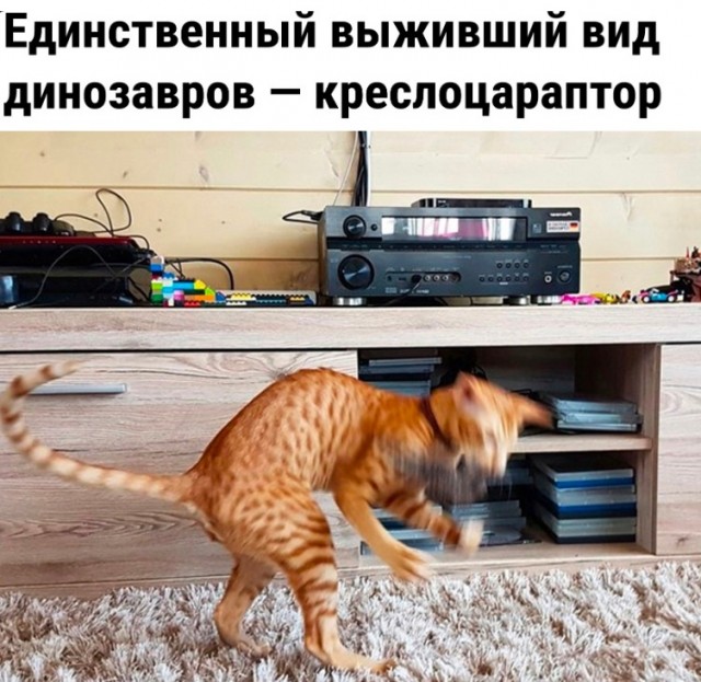 Так себе картинки 06.05.23