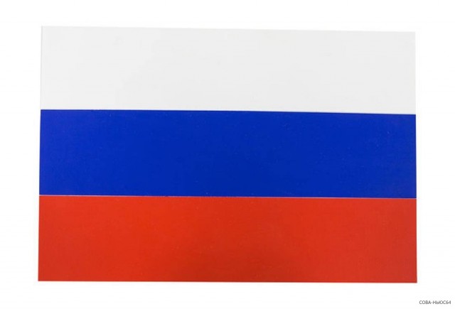 В Москве задержали супругов, которые запустили шары с флагом террористической организации Легион "Свобода России"