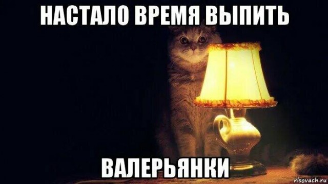 Дичь