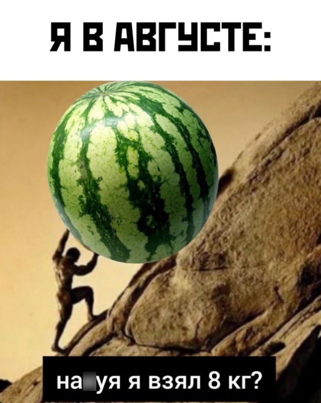 Весёлый полтишок 07.08.23