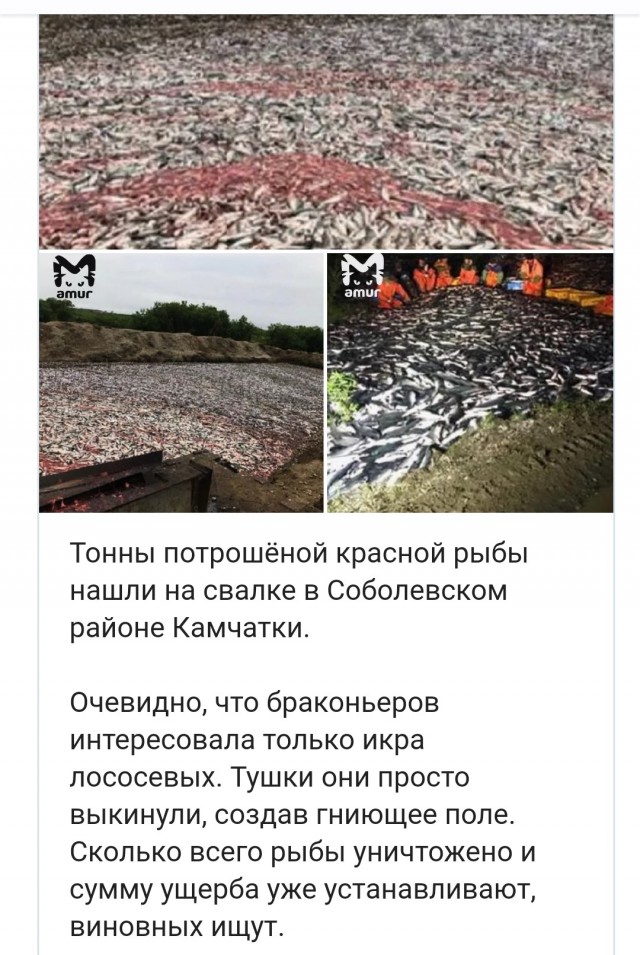 Бурятия. Чёрные добытчики нефрита