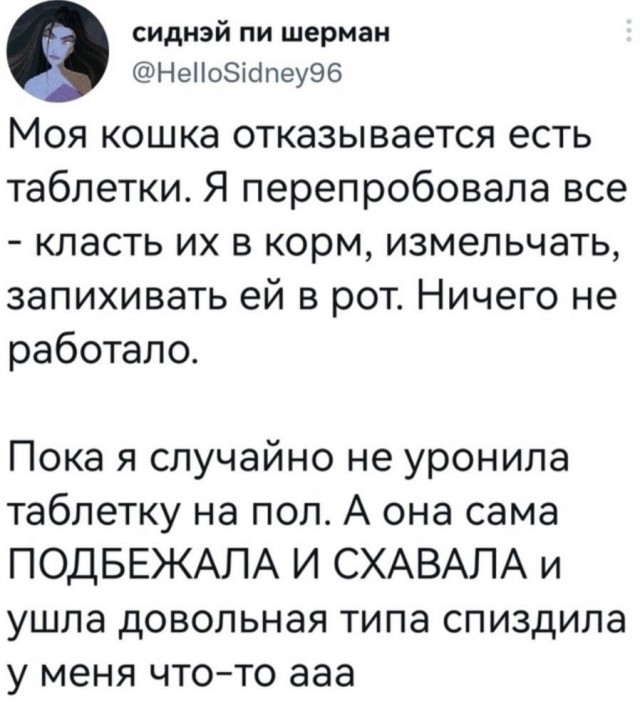 Так себе картинки 11.09.23