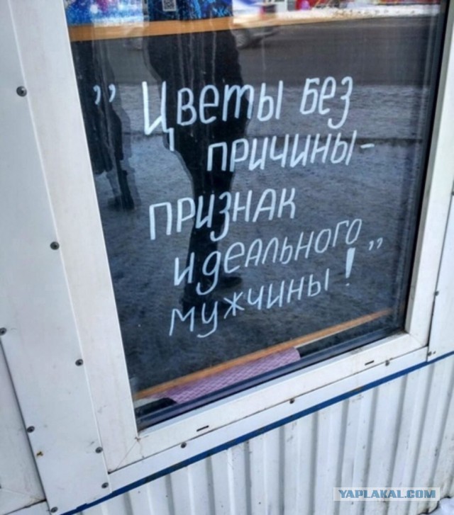 Хозяйство у жениха маленькое, жену не найдет!