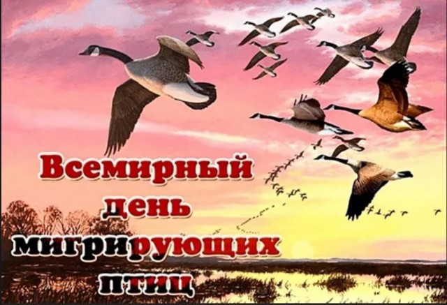 Школа джедаев. Начало