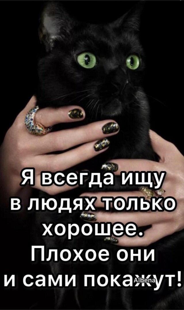 Какие-то бояны в спорадическом порядке