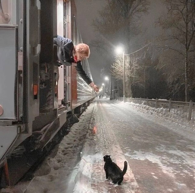 Зеркальная ситуация с котейкой