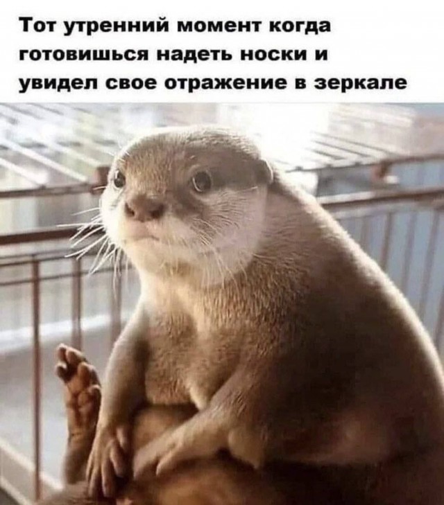 Завалялось тут случайно немного забавных картинок