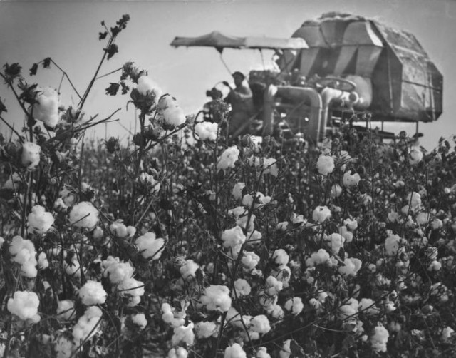 Фотографии из прошлого нашей страны – 65