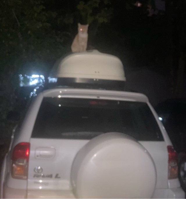 Люксовая когтеточка