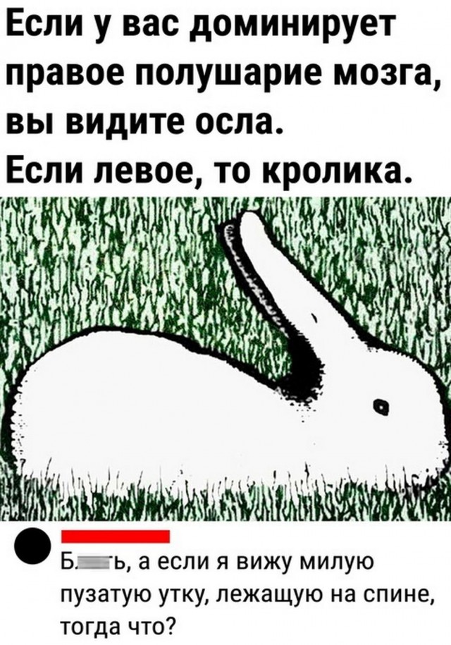 Народная меДИЧина 5001