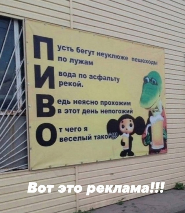 Так себе картинки 05.12.24