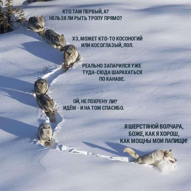 "И пошли они до городу Париж", коллеги!