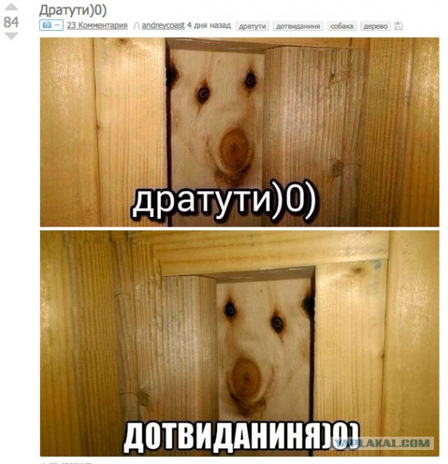 Доктор, что со мной. Я их вижу!