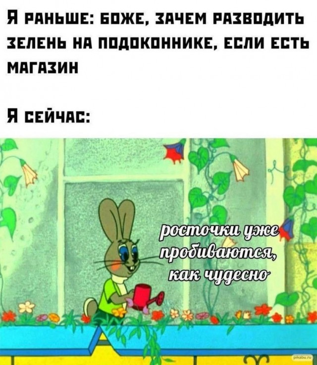 Так себе картинки 13.05.25