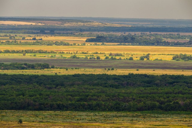 Донская степь