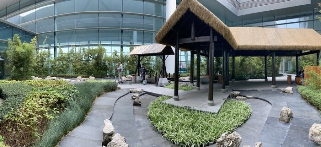 Застрявшим в Пулкове пассажирам разрешили выходить на улицу покурить и даже съездить домой