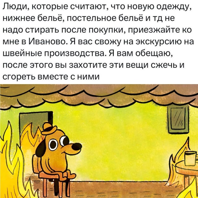 Весёлый полтишок 09.07.25
