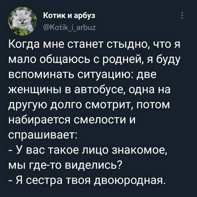 Так себе картинки 28.07.25
