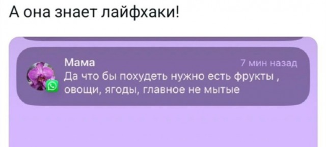Картинки для деградации 32 (разной степени свежести)