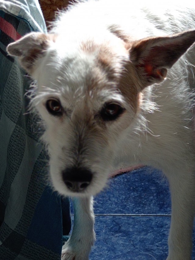 А у Даны д.р. Ей 11 лет..