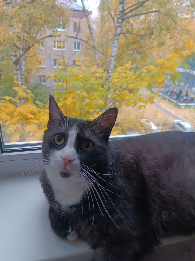 Зима близко
