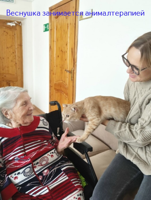 Жизнь домашнего приюта "Котоленд" 515