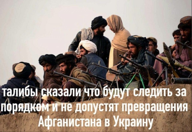 Они просто играются