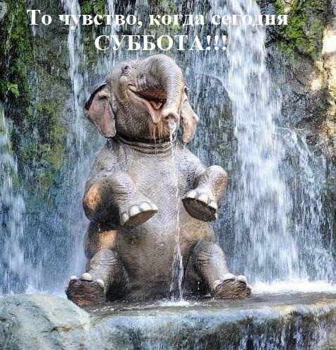 Веселое настроение в картинках (22.11.2025)