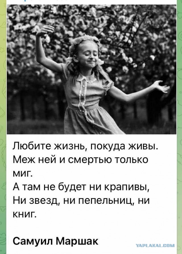 Куча мала 15, последняя