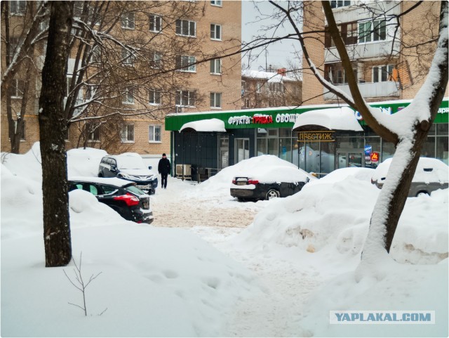 И вот приходит весна.