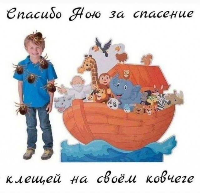 Воскресные картинки
