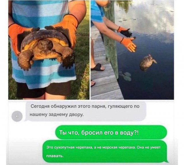 Дура, я не сухопутная!