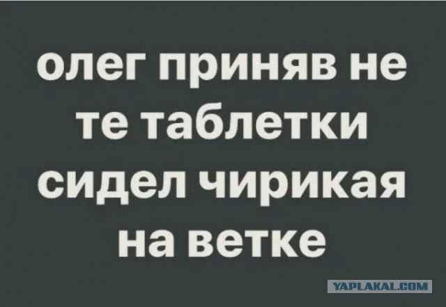 Подскажите по растениям! Собирал Иван Чай и случайно..