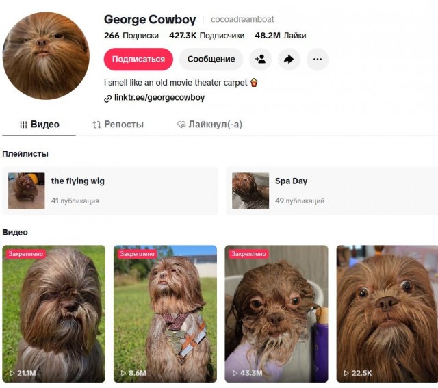 Чубакка