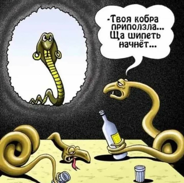 Шнурки