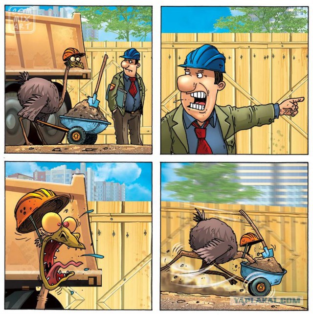 Про страуса..