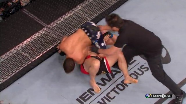 БОКС/MMA....