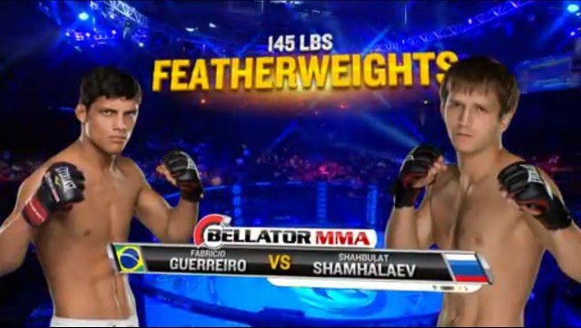 БОКС/MMA....
