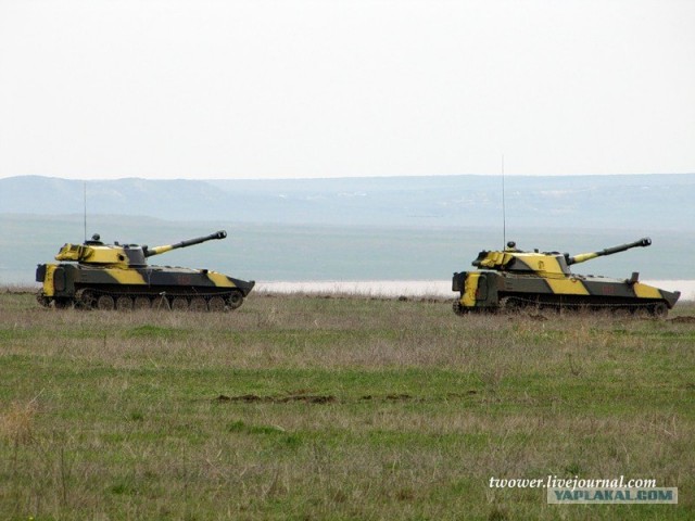 810-я отдельная бригада морской пехоты