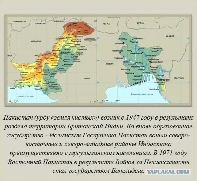 20 фактов обо всем