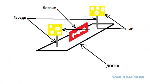 Корейская мышеловка